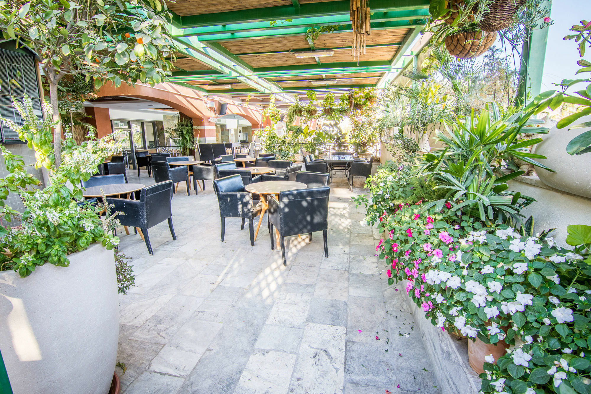 Comfort Hotel Eilat Bagian luar foto